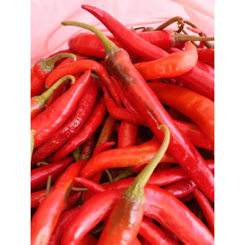 

Cabe Merah besar 1 Kg - Fresh dan Siap Kirim