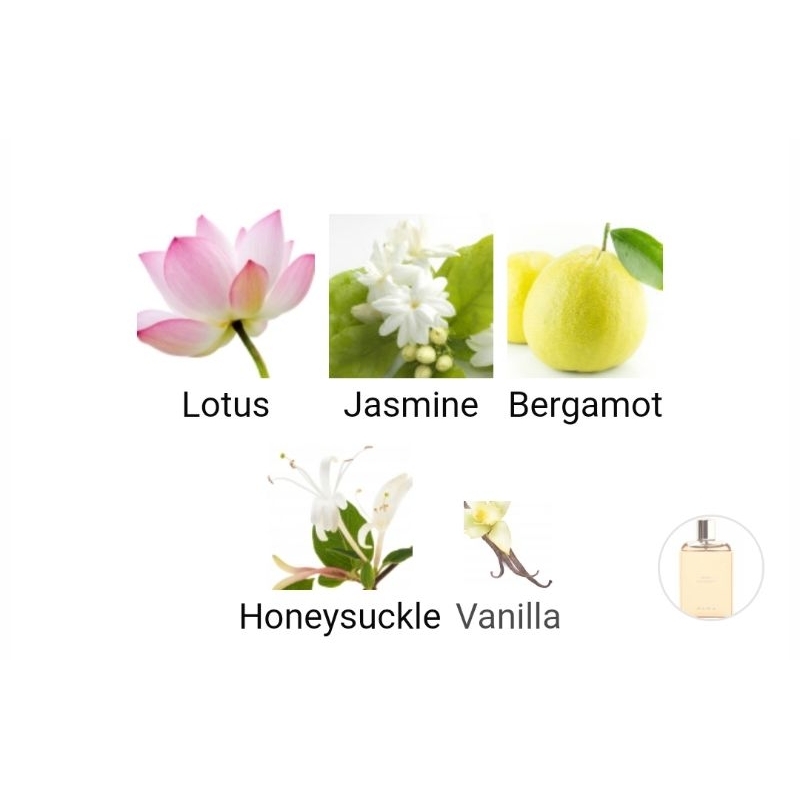 Intan parfum inspirasi Zara Nude Bouquet