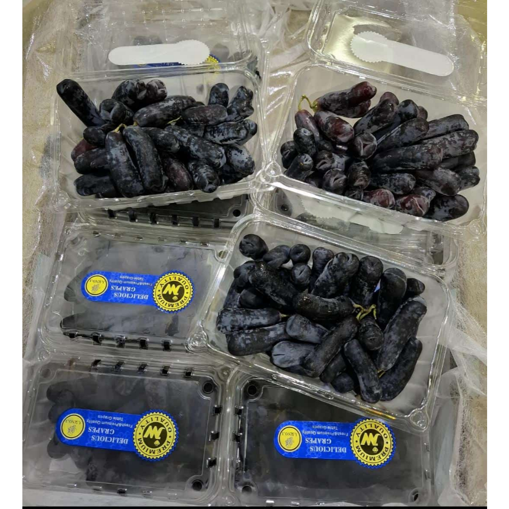 

Anggur Moondrop Black Sapphire / Anggur Jari Lonjong 500gr