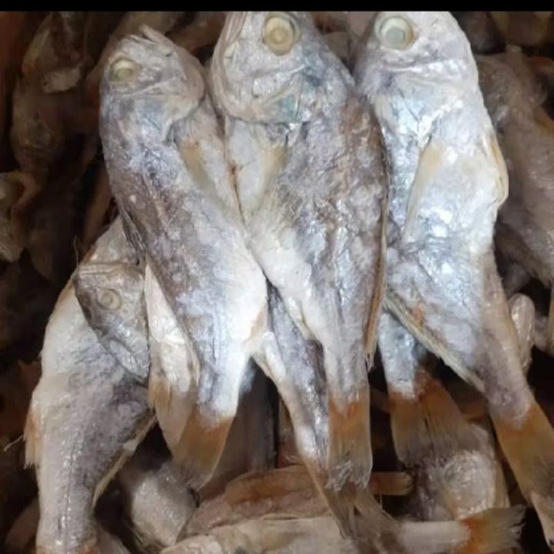 

Ikan Asin Kepala Batu Bulat Khas Medan Fresh 250 gram