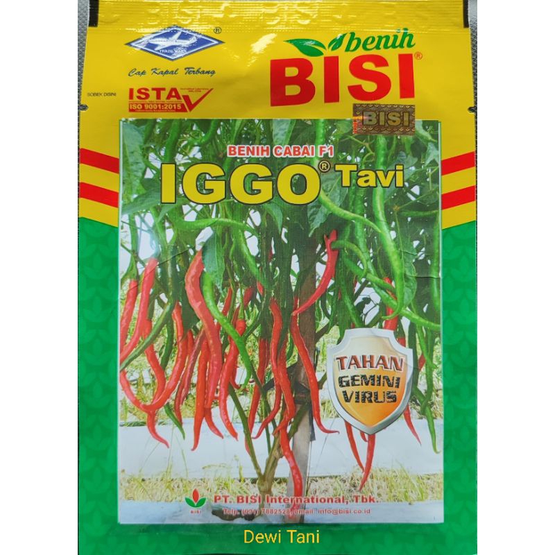 IGGO TAVI benih cabai