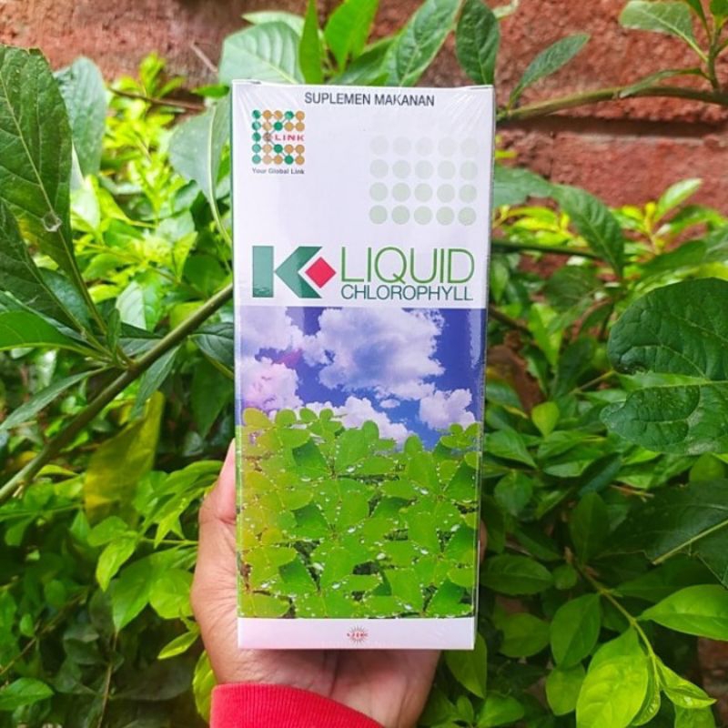 

KLOROFIL KLINK ORIGINAL ASLI 500ML