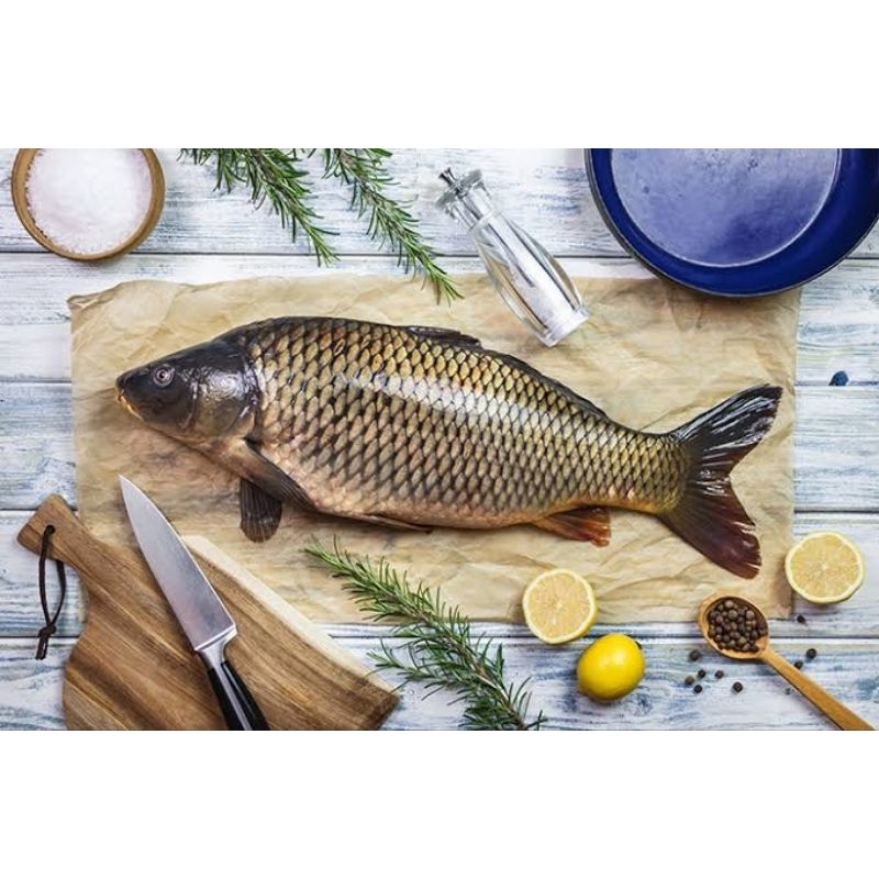 

ikan mas fresh frozen food ( pengiriman hanya untuk jabodetabek )