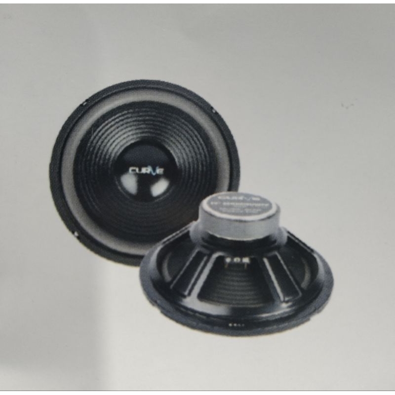 Speaker 12 inch 30H120SRW38B Curve (PLS)
