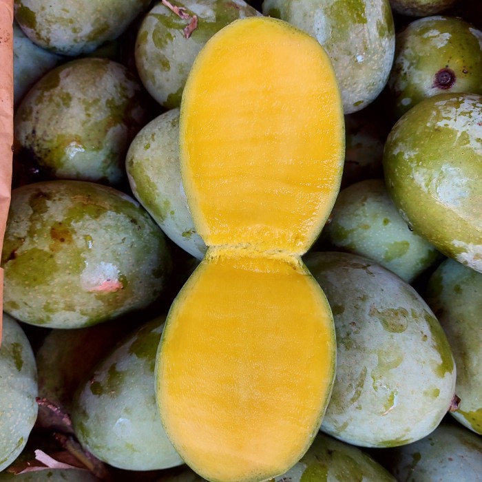

mangga kweni matang pohon per 5kg