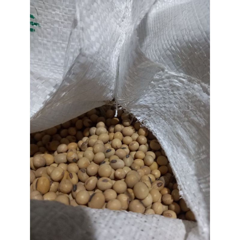 

Kacang Kedelai kualitas import