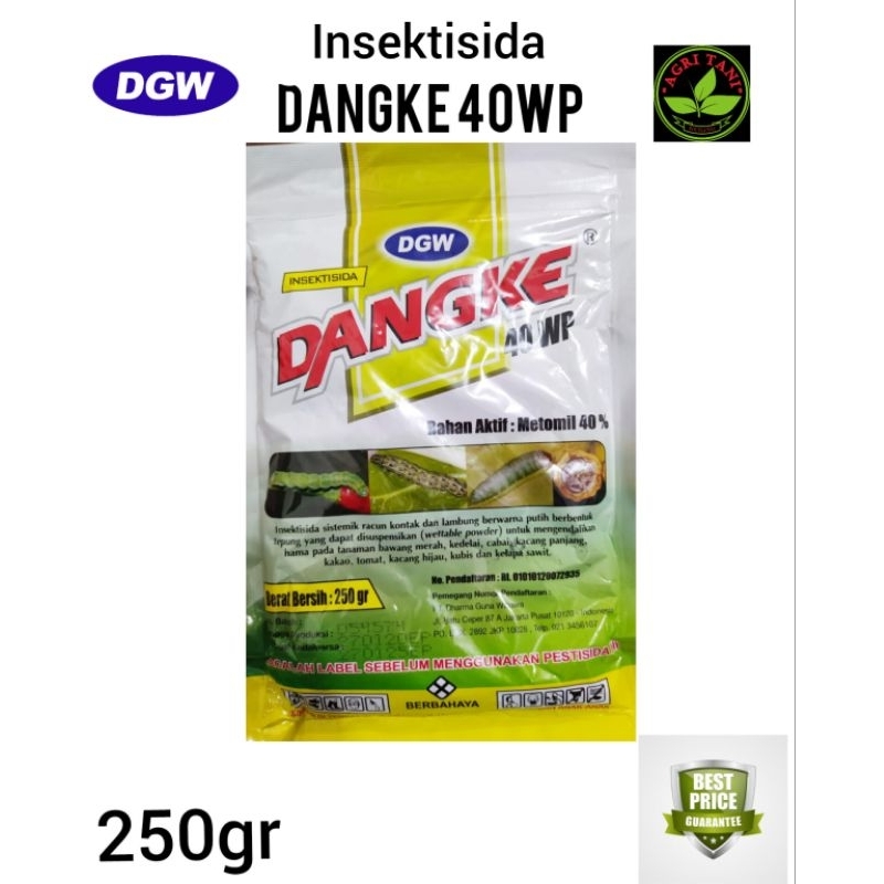 Dangke insektisida