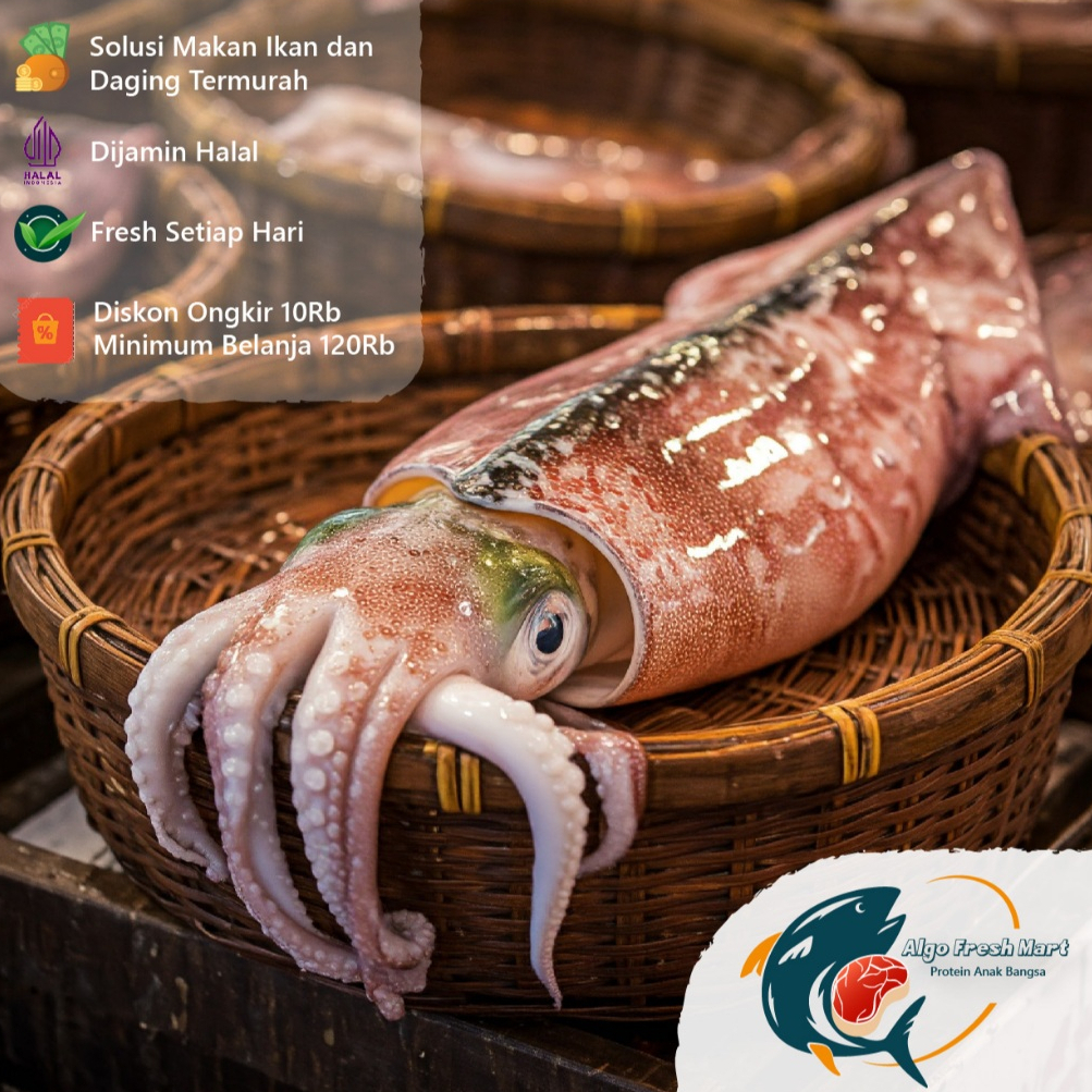 

[TERMURAH] Cumi JUMBO Per Ekor (350 - 400gr +)