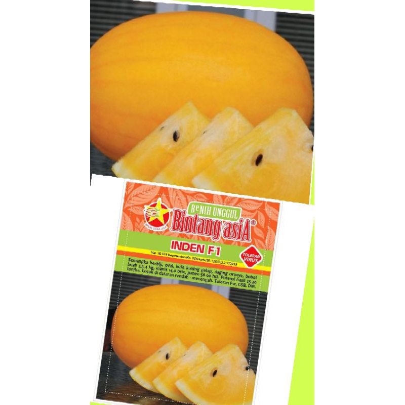 BENIH SEMANGKA GOLDEN KUNING 50 BIJI