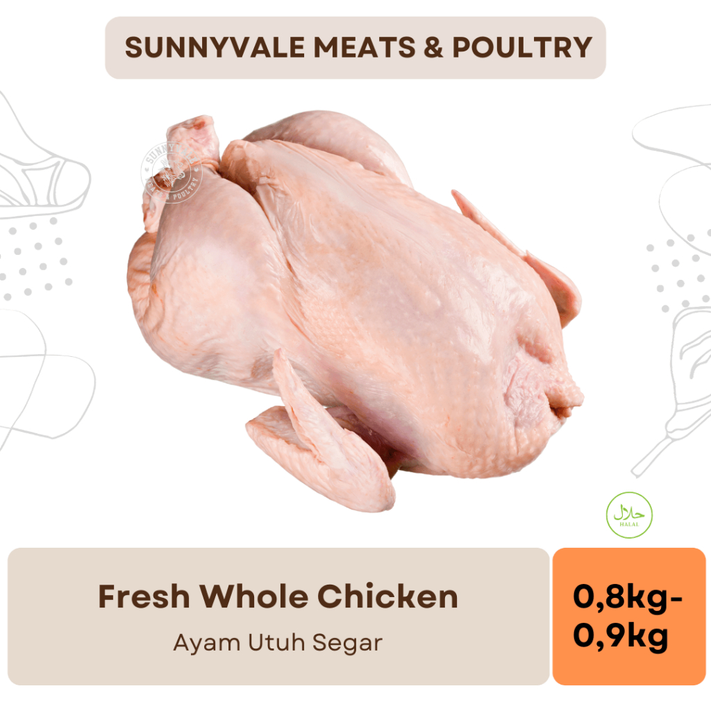 

Ayam Karkas | Ayam Utuh | Whole Chicken | Griller Broiler Halal | Ayam CP Halal - Medium