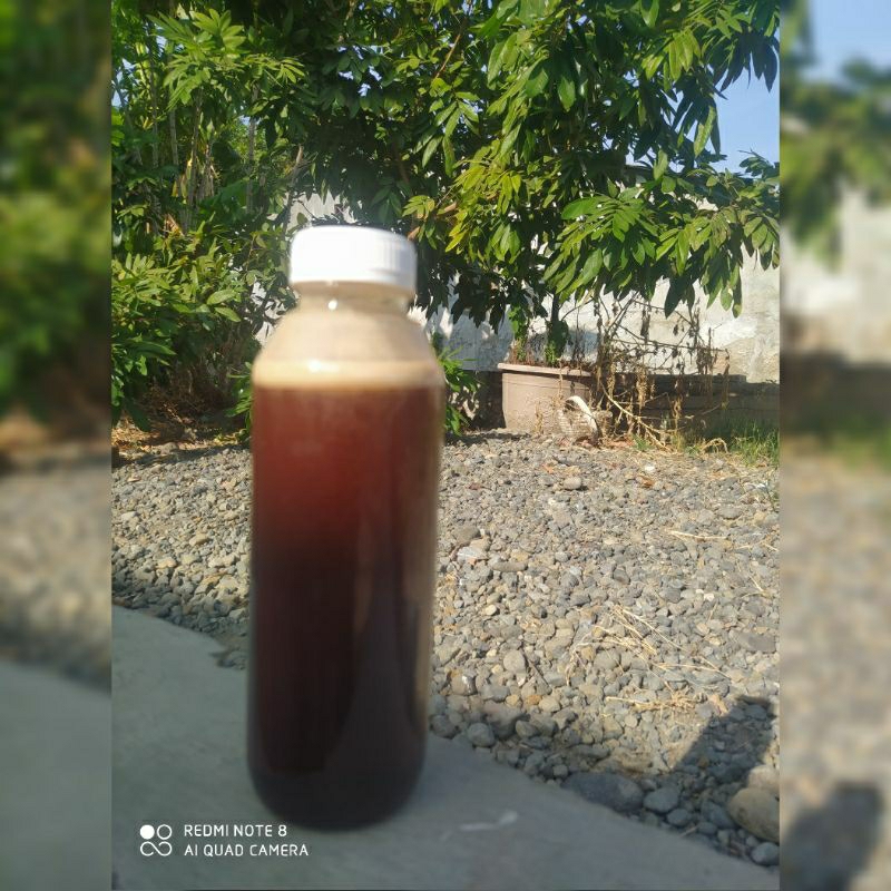 

Madu murni