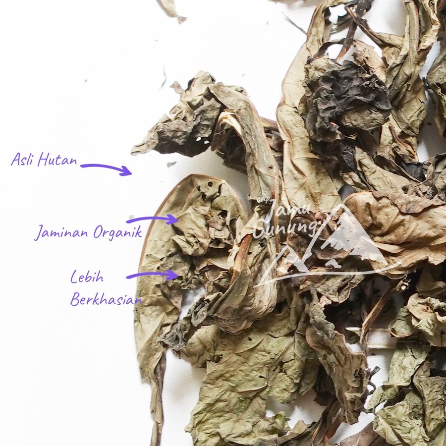 

Daun Srigunggu 500gr Kering Senggugu Organik