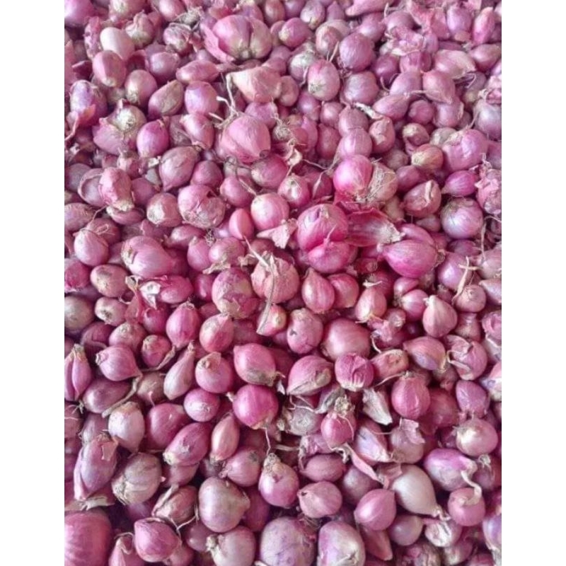 

Bawang Merah Kecil 500 gr