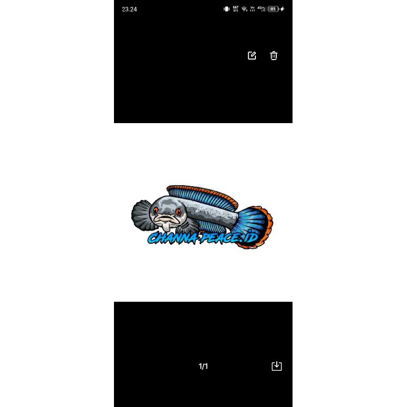 

stiker channa andrao