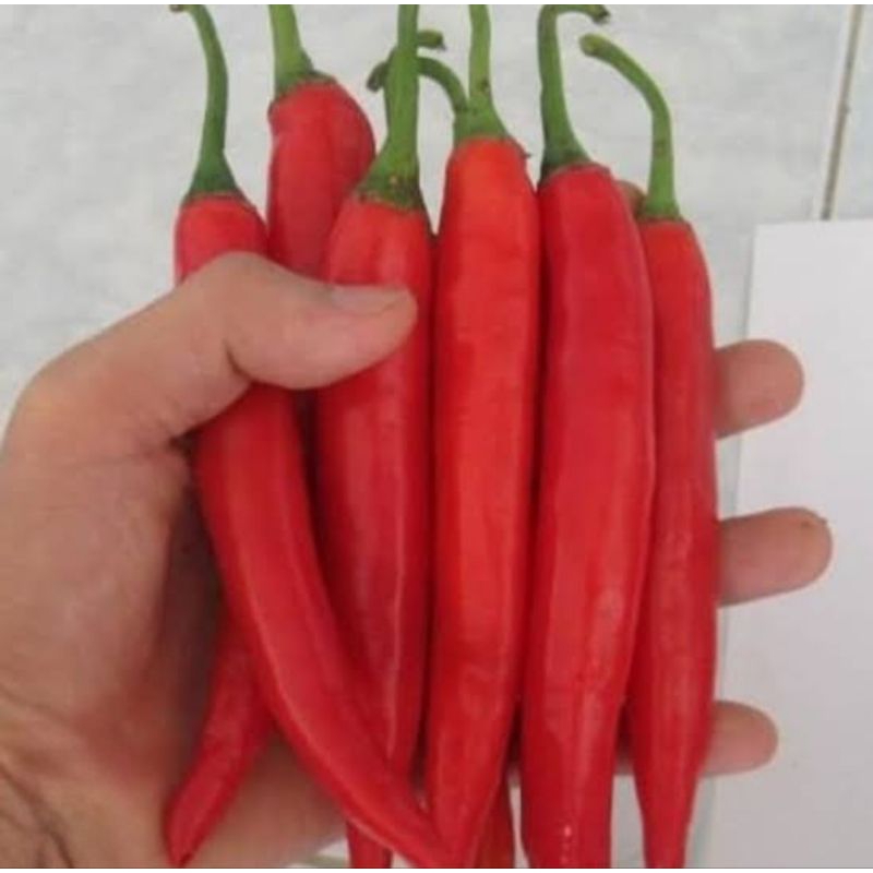 

Cabe Merah Besar 500gram