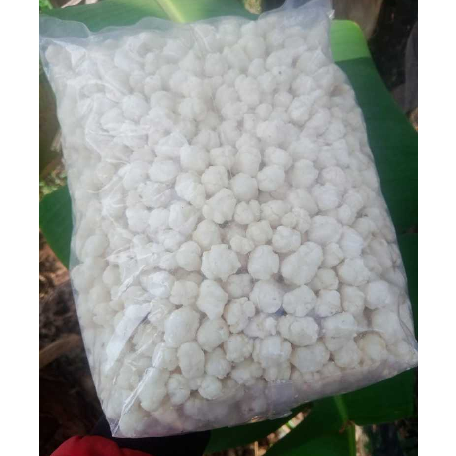 

TERLARIS Pilus Cikur Tiktak Kencur 500 Gr Gurih Renyah oping Baso aci Seblak Terlaris