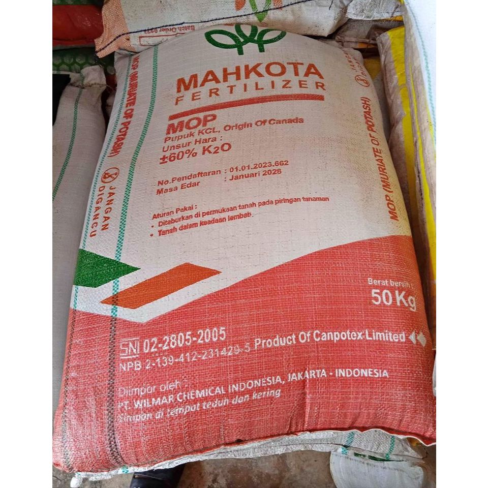 PUPUK MAHKOTA KCL MOP 50 KG