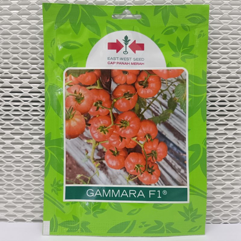 (BISA COD) 150 BIJI - BENIH BIBIT TOMAT MAWAR "GAMMARA F1" - CAP PANAH MERAH