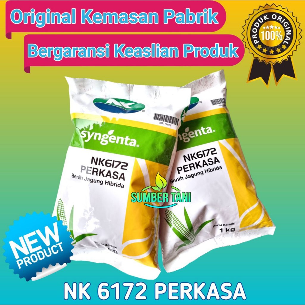 

Benih Jagung NK 6172 | NK PERKASA - 1Kg