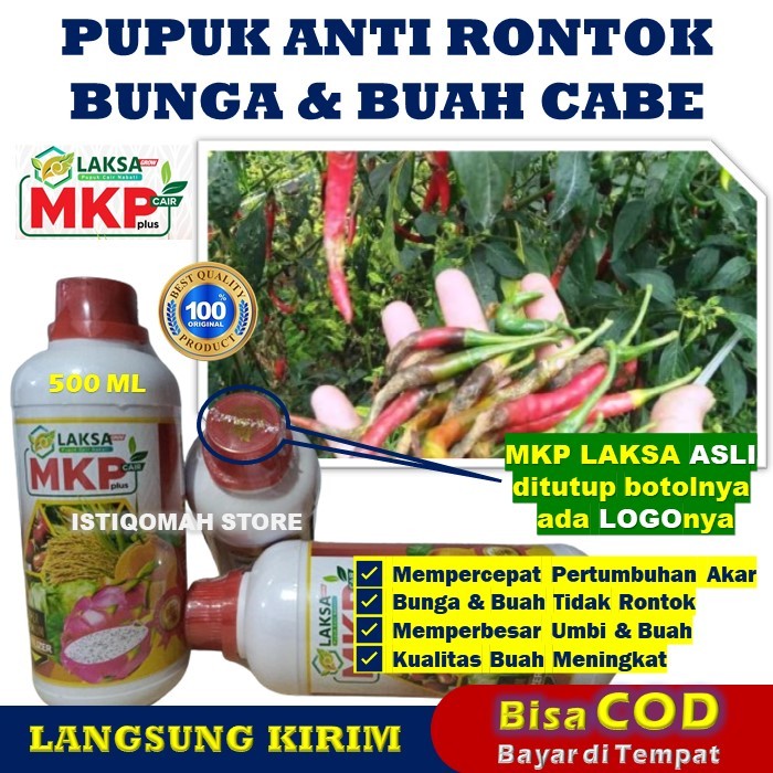 Pupuk MKP Cair Plus LAKSA GROW 500ml Pupuk Pencegah Rontok Buah Cabe Cabai Ampuh - Obat Pencegah Ron