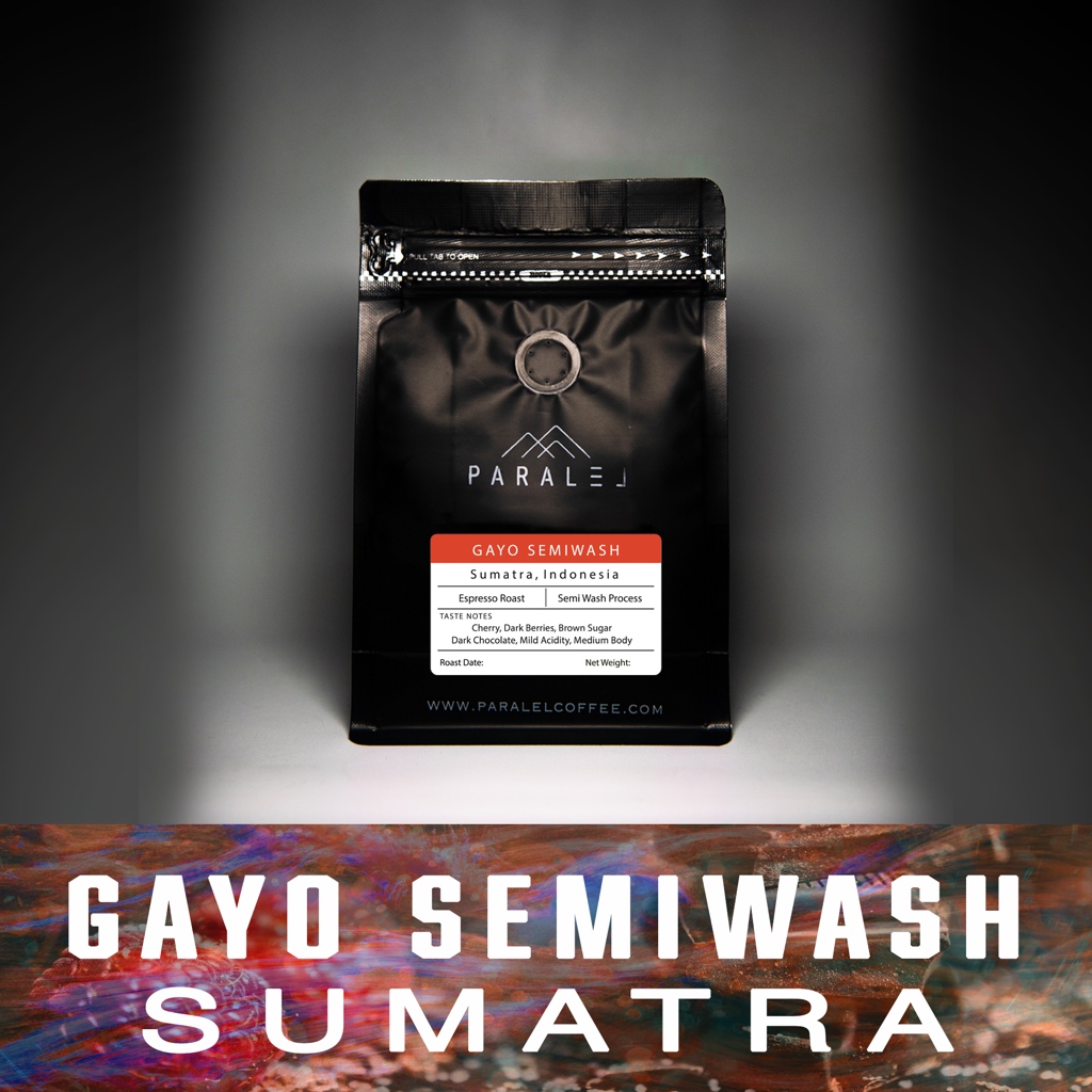 

Aceh Gayo Semiwash Arabica 200g Single Origin biji kopi coffee beans