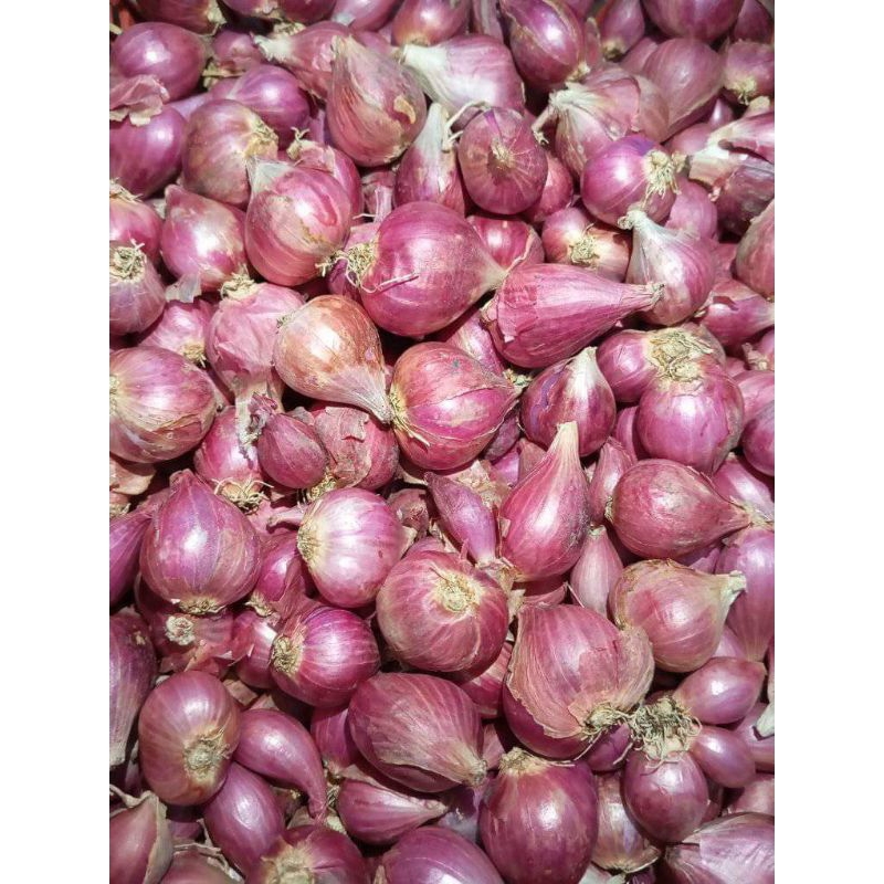 

Bawang Merah Brebes 1kg