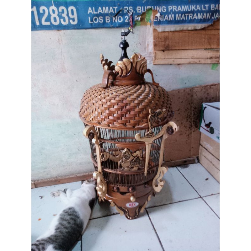 sangkar burung perkutut jati