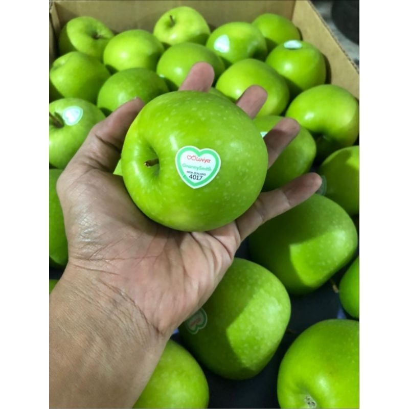Apel Hijau Granny Smith New Zealand 1 kardus 17,5 kg