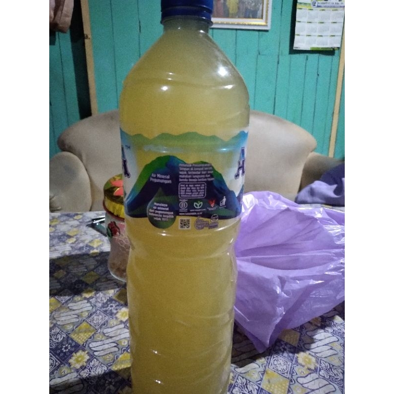

legen beda/legen matang