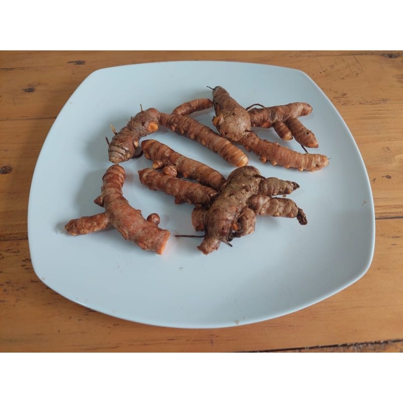 

kunyit / kunir 250 gram, 500 gram & 1kg [MM -sayuran segar -rempah segar -empon2 -kunyit segar]