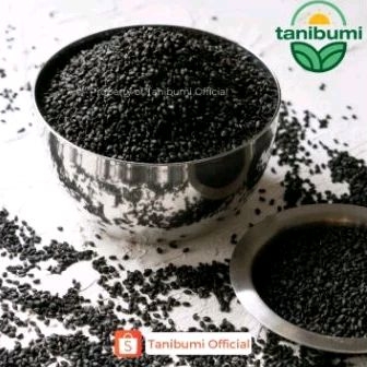 

Biji Selasih Kualitas Premium Termurah | Basil Seed Impor