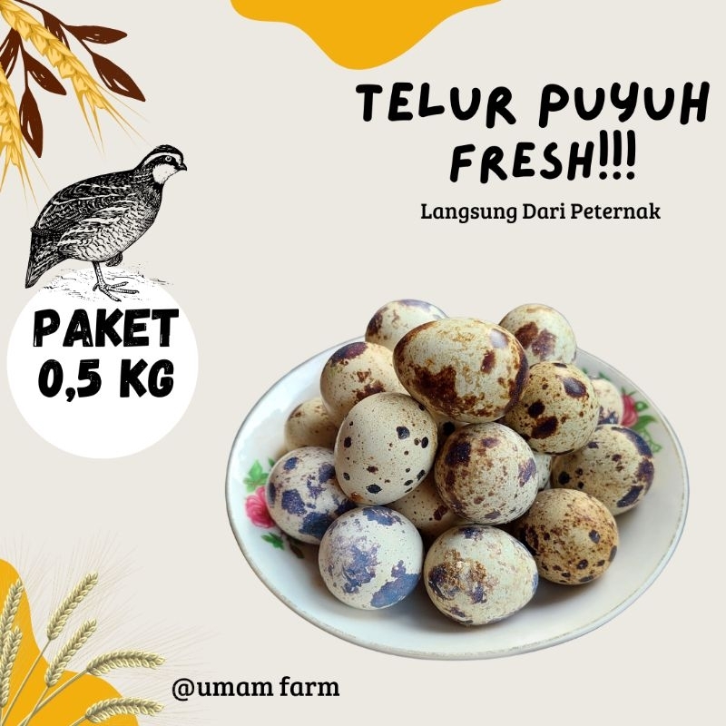 

Telur puyuh Fresh / telur puyuh mentah / 0,5 KG isi -+ 45 butir