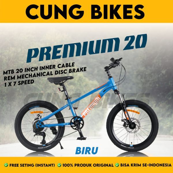 Sepeda Gunung Anak MTB BNB PREMIUM Ukuran 20 Inch Usia 8-12 Tahun