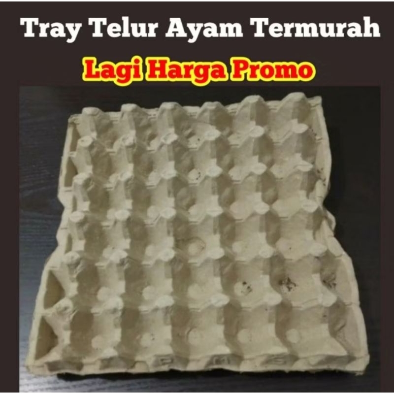 Egg tray karton - tempat telur ayam bekas murah