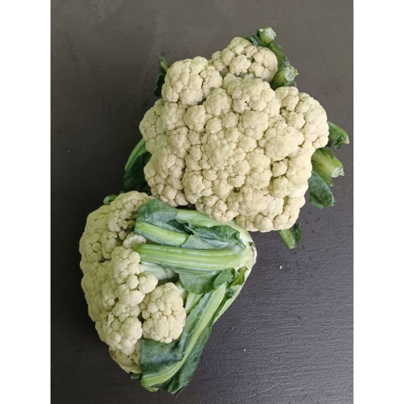 

sayur koll / kembang koll