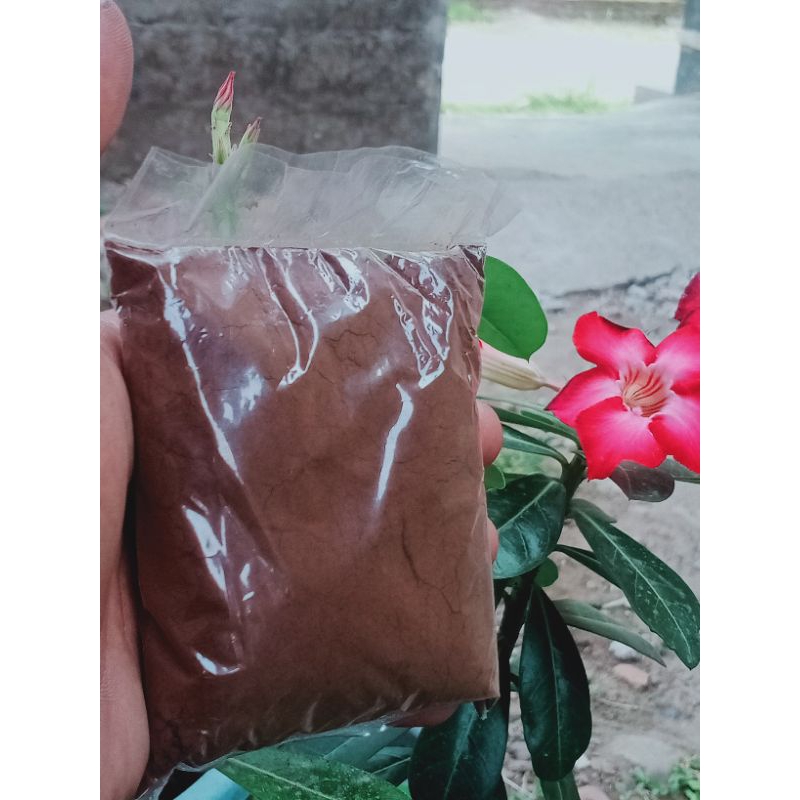 

kopi hitam