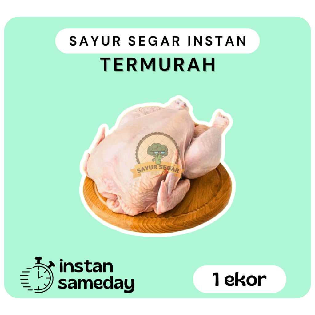 

Ayam Potong 1 Ekor / Ayam Broiler Segar - Sayursegarinstan