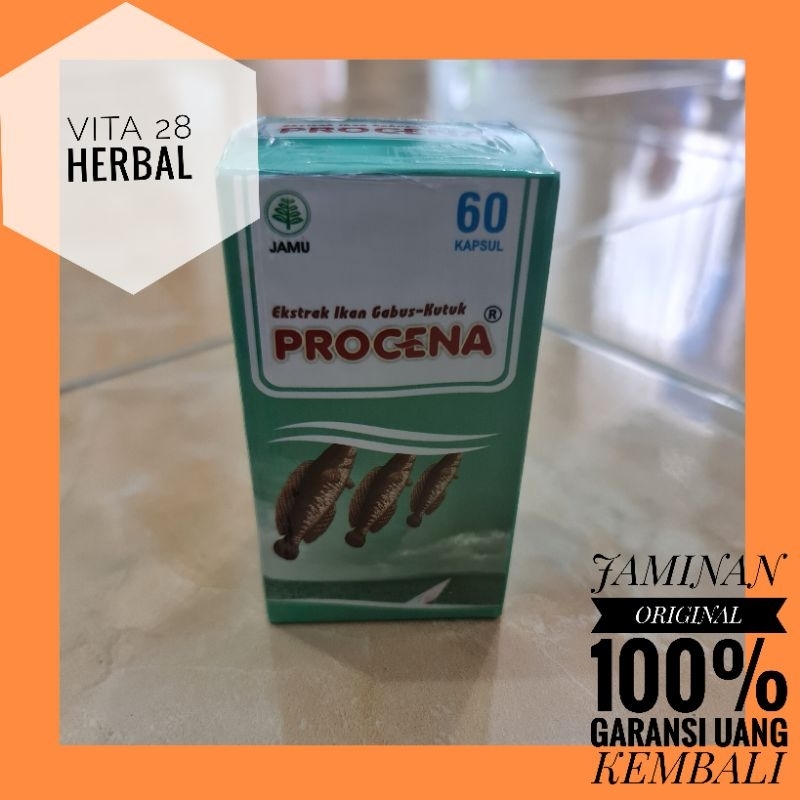 KAPSUL IKAN KUTHUK PROCENA | KAPSUL EKSTRAK IKAN GABUS ASLI PROCENA ORIGINAL | KAPSUL IKAN GABUS IKA