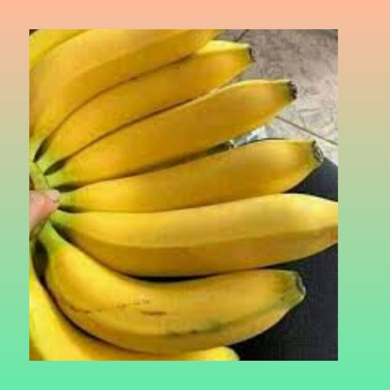 

Pisang Ambon segar 1 kg | Pisang Ambon fresh | Pisang Ambon kiloan | Pisang Ambon sisir