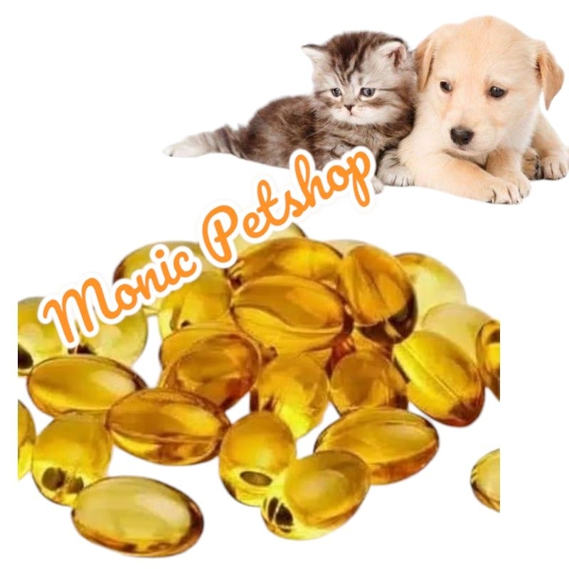 (100 pcs) Minyak ikan Untuk kucing/burung - vitamin minyak ikan / Tunghai Fish oil