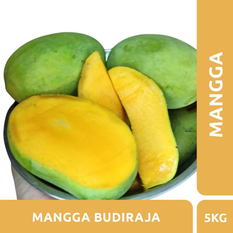 

MANGGA BUDIRAJA 5KG