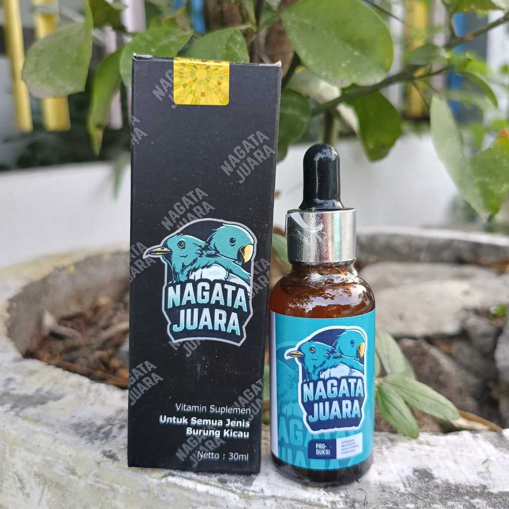 Nagata Juara vitamin rahasia gantangan bikin mental fighter dan mongcor full sesi khusus burung love