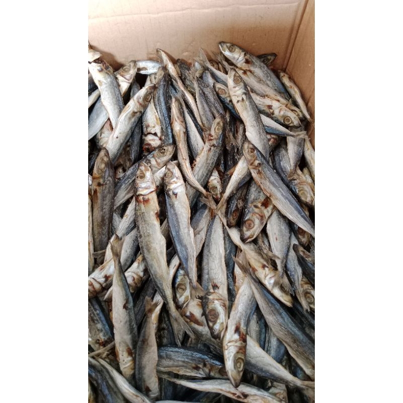 

ikan asin pedo 500gram asli banyuwangi