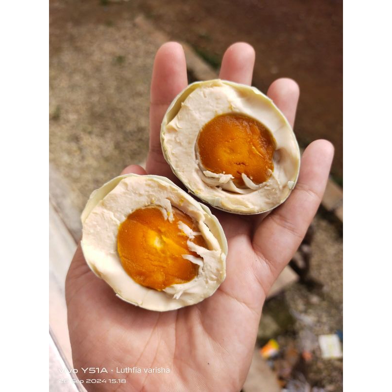 

TELUR ASIN ATAU HINTALU JARUK MATANG DARI BANJARBARU