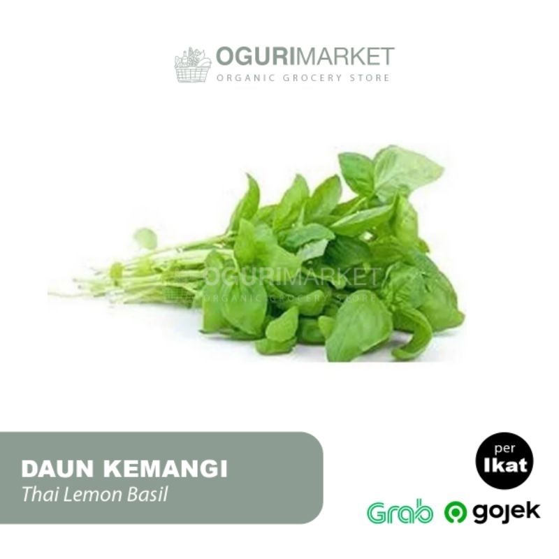 

Daun Kemangi Basil Leaves per ikat 150gr - 200gr