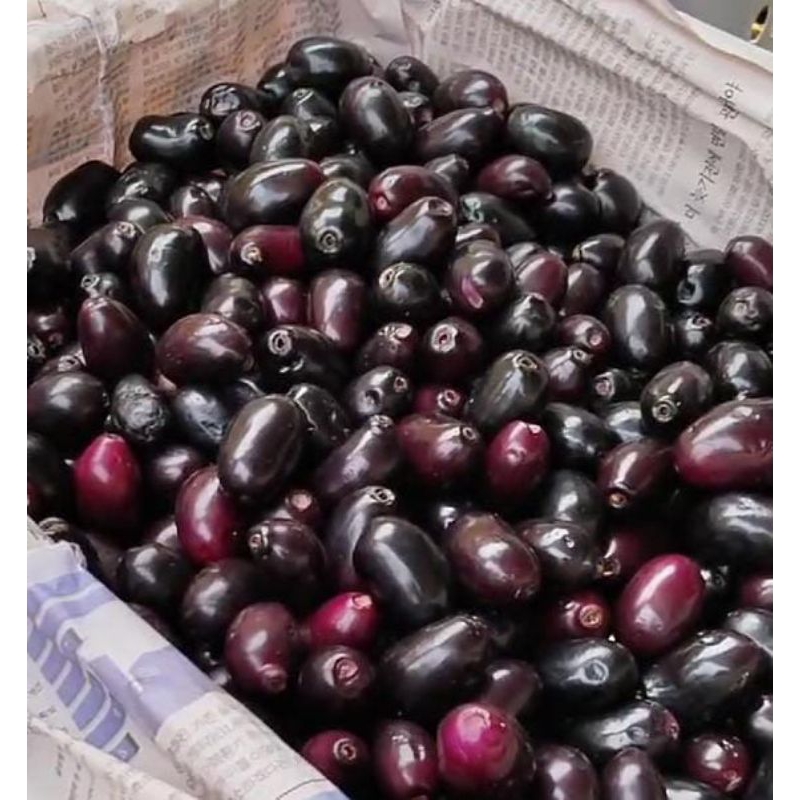 

Jamblang Fresh harga per 1kilo