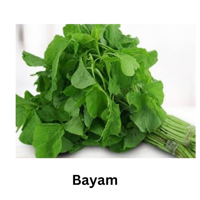 

Bayam ikat fresh