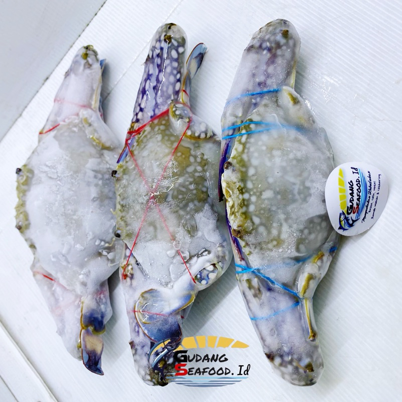 

Kepiting ketam renjong / rajungan size 300 up / ekor. 1 kg = 3 ekor