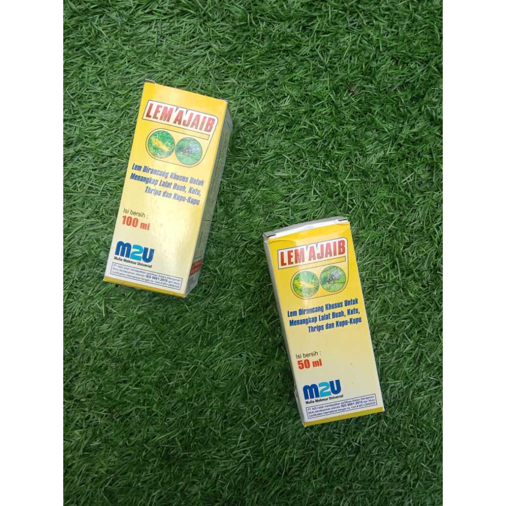 

Lem Lalat Ajaib Perangkap Lalat Buah