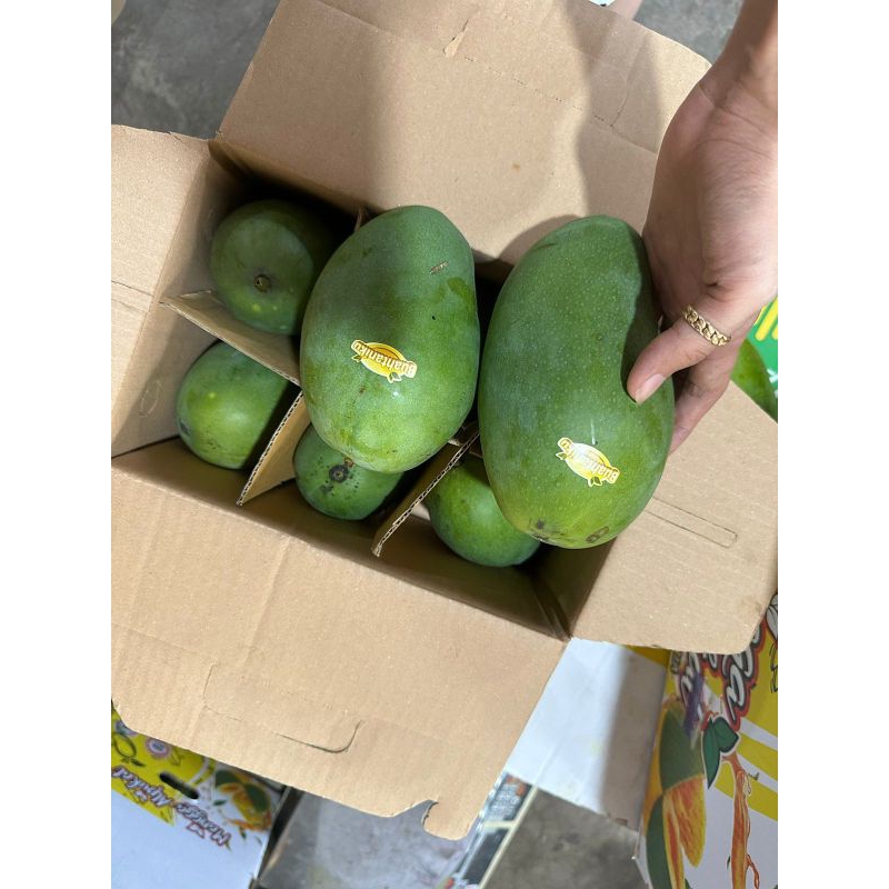 

mangga box 3kg ISI 7-8pcs harum manis BERGARANSI buahtaniku